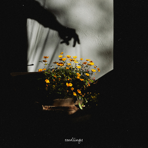 HD天美free性XXHD18
