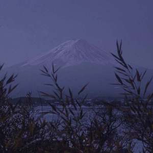 HD天美free性XXHD18
