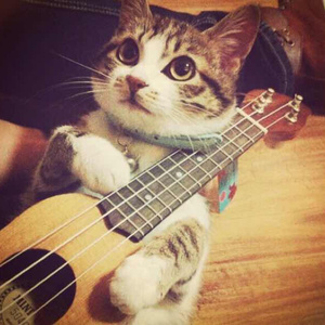 HD天美free性XXHD18
